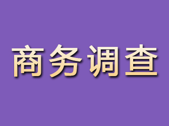 昆都仑商务调查